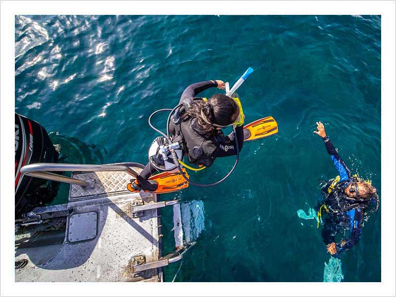 Centro de buceo Isub San Jose. Cabo de Gata