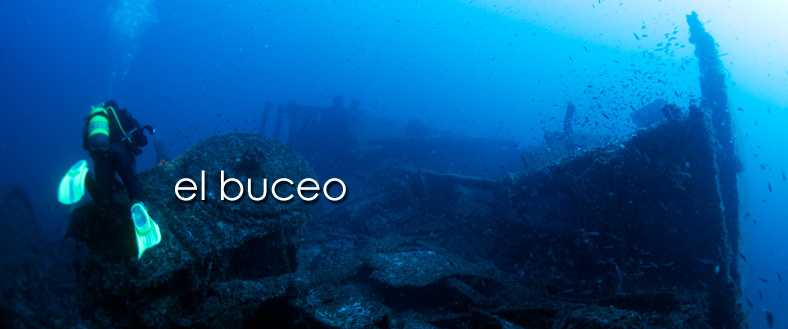 buceo